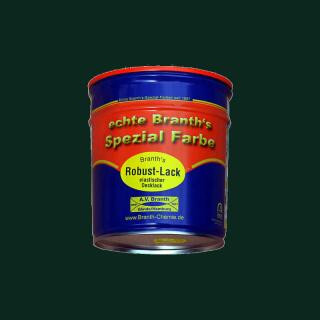Peinture Branths Robust (séchage rapide) bidon 0,75 l vert mousse RAL 6005
