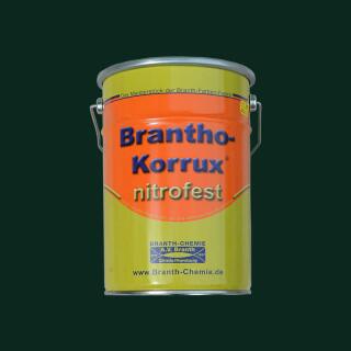 Brantho Korrux "nitrofest" bidon 5 litres vert mousse RAL 6005